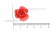 Украшение "Розы малые №1" 20мм - купить в Великих Луках. Цена: 32.49 руб.