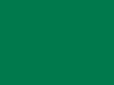 85 см № 258 яр. зеленый спираль (G) сорт-2 - купить в Великих Луках. Цена: 16.97 руб.