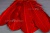 Декоративный Пучок из перьев, перо 23см/красный - купить в Великих Луках. Цена: 11.16 руб.