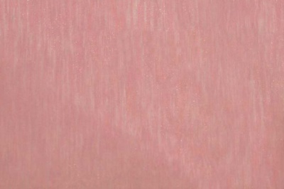 Органза однотонная "Амелия" С19 (Розовый) 280 см - купить в Великих Луках. Цена 303.09 руб.