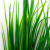 Трава искусственная -2, шт (осока 41см/8 см)				 - купить в Великих Луках. Цена: 104.57 руб.