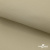 Ткань подкладочная TWILL 230T 14-1108, беж светлый 100% полиэстер,66 г/м2, шир.150 cм - купить в Великих Луках. Цена 90.59 руб.