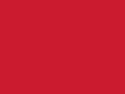 Сетка подкладочная красный, 60г/м2 (10 м/кг) - купить в Великих Луках. Цена 885.73 руб.