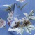 Плательная ткань "Фламенко" 12.1, 80 гр/м2, шир.150 см, принт растительный - купить в Великих Луках. Цена 241.49 руб.