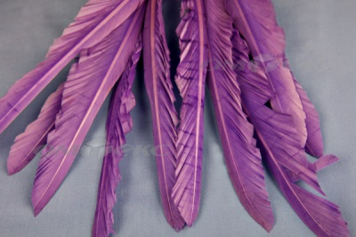 Декоративный Пучок из перьев, перо 25см/фиолетовый - купить в Великих Луках. Цена: 12.19 руб.