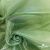 Ткань органза, 100% полиэстр, 28г/м2, шир. 150 см, цв. #27 зеленый - купить в Великих Луках. Цена 86.24 руб.