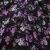 Плательная ткань "Фламенко" 20.1, 80 гр/м2, шир.150 см, принт растительный - купить в Великих Луках. Цена 241.49 руб.