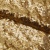 Сетка с пайетками №3, 188 гр/м2, шир.140см, цвет золотой - купить в Великих Луках. Цена 454.12 руб.