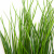 Трава искусственная -4, шт  (осока 50 см/8 см  7 листов)				 - купить в Великих Луках. Цена: 130.73 руб.
