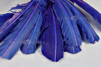 Декоративный Пучок из перьев, перо 23см/синий - купить в Великих Луках. Цена: 12.34 руб.