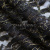 Кружевное полотно XD LACE 1-4, 80 гр/м2, шир.150см, цвет чёрный - купить в Великих Луках. Цена 245.94 руб.